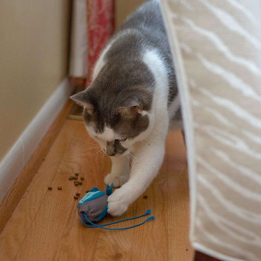 indoor cat hunting feeder