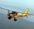 Stree Legal Airplane