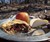 Game of Thrones Cookbook - Beef & Bacon Pie from the North