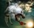 Underwater Dogs - Subsurface Fetching Photos
