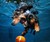 Underwater Dogs - Subsurface Fetching Photos