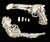 Bone Pistols