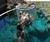 Cage of Death Crocodile Dive