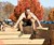 Man Jumping on Tough Mudder Obstacle Course