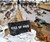 World's Toughest Mudder Obstacle Course