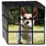Custom Photo Rubik's Cube