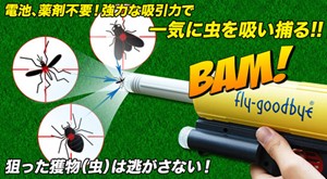 The Bug Hunter