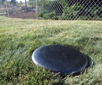 Sawblade Frisbee