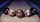 Zombie Head Bowling Balls