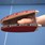 Brodmann Blades Ping Pong Paddles -3354