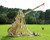 Stirling Warwolf Trebuchet