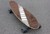 Wookie Skateboard
