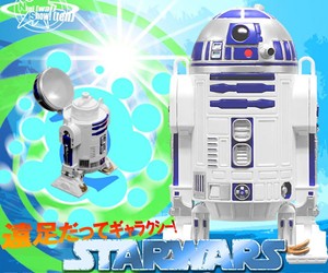 R2D2 Water Bottle