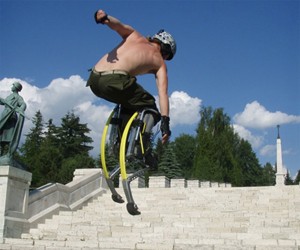 Poweriser Extreme Sport Leg Extensions