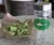 Beer Flavor Infuser