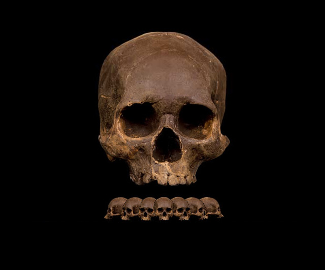 Dark Chocolate Skull