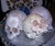 Human Skull Chocolates on Platter