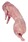 Fresh Whole Rabbit