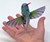 Nano Hummingbird Spy Camera