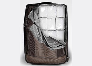 Insane Suitcase Stickers