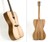 Female Form Guitar