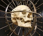 Craniometer