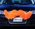 Car Mustache