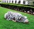 Sleep Suit