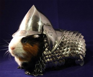 Handmade Guinea Pig Armor