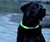glowdoggie Dog Collar