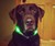 Green glowdoggie Dog Collar