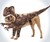 Raptor Dog Costume