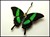 Steampunk Insects-8787