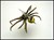 Steampunk Insects-2307