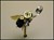 Steampunk Insects-9915
