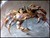 Steampunk Insects-6345