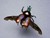 Steampunk Insects