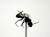 Steampunk Insects