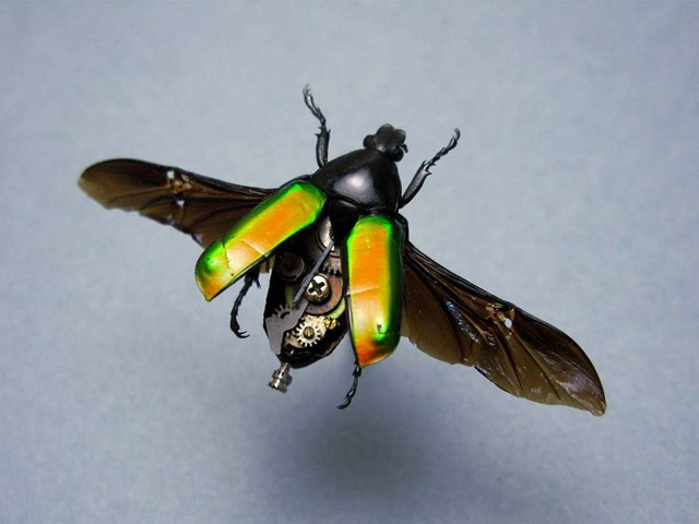 Steampunk Insects