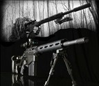 Portable Survival Rifle