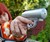 Woman Firing Mace Pepper Spray Gun