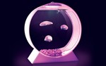LumaTank - Edge Lit Fish Tank