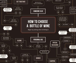 How to Choose a Bottle of Wine