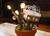 Industrial Cactus Map Sculpture