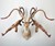 Armed Taxidermy