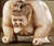 Sumo Wrestler Table