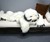Wampa Rug on Bed