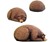 Big Sleeping Grizzly Bear Bean Bag