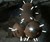 Marine Mine Light Fixture