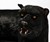 Panther Sofa by Rodolfo Rocchetti - Closeup